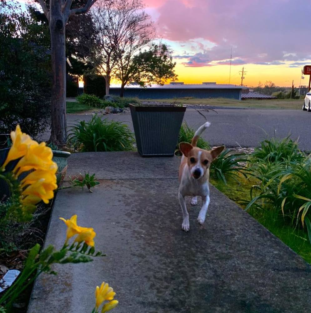 Meet your Posher, Alex